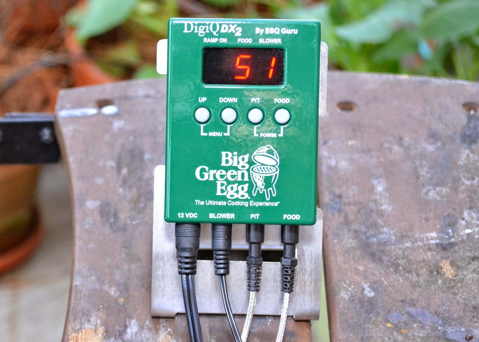 Digiq big green egg sale